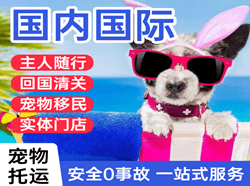 黄山航空邮寄国际宠物托运 【国